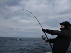 MC Works Seven Miles SM816CR