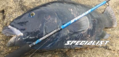 Ocean's Legacy 2020 Specialist Shore Rods (Spin) 13 Ocean's Legacy 2020 Specialist Shore Rods (Spin) -Visuitrusting Winkel specialist2 02548fc6 4222 4675 8a53 27d754779986
