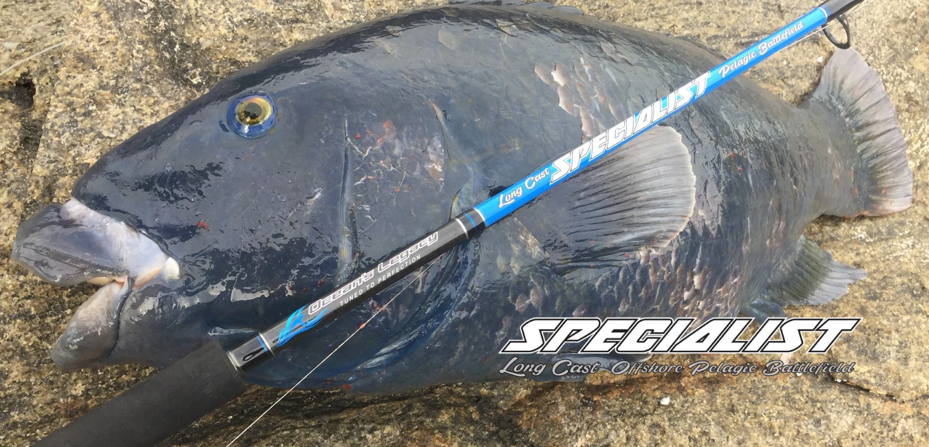 Ocean's Legacy 2020 Specialist Shore Rods (Spin) 8 Ocean's Legacy 2020 Specialist Shore Rods (Spin) - Afbeelding 6