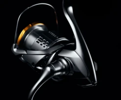 2018 Shimano Stella FJ -Visuitrusting Winkel stella 2018 17