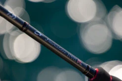 Daiwa 21 Emeraldas STOIST RT -Visuitrusting Winkel story sub03