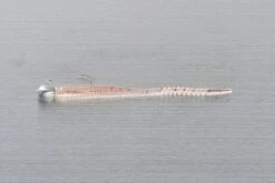 Decoy Aji Drive Jighead SV-55 -Visuitrusting Winkel sv 55 05set