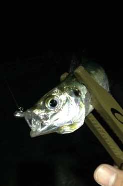 Decoy Aji Drive Jighead SV-55 -Visuitrusting Winkel sv 55 06fish