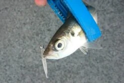 Decoy Mini Drive Jighead SV-56 -Visuitrusting Winkel sv 56 06fish