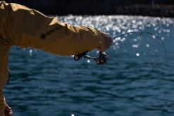 Daiwa 21 Emeraldas STOIST RT -Visuitrusting Winkel tec02 652967fc df52 449f bbff d8bfbb87ec27